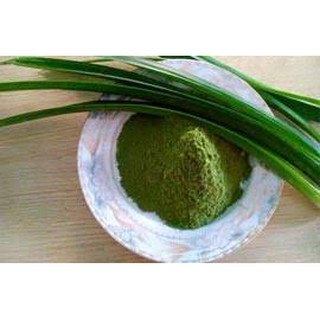 Bột Lá Nếp – Lá Dứa 50g/gói
