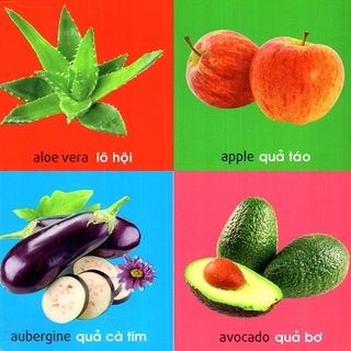Sách - 101 First Words - Plants (101 Từ Đầu Tiên - Thực Vật)