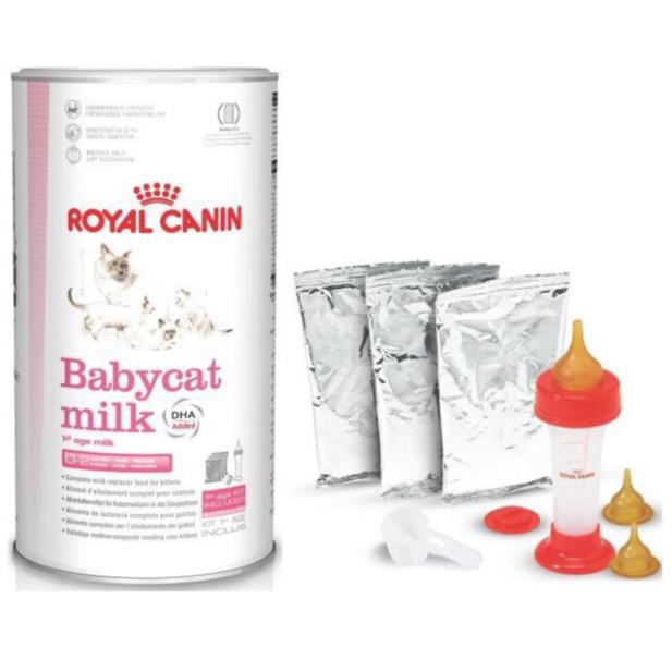 Sữa bột cho mèo Royal Canin