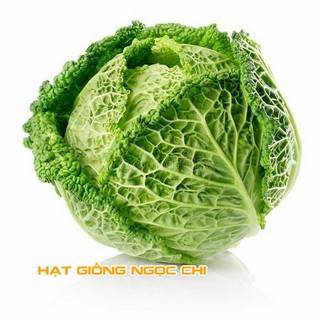 Hạt Giống Bắp Cải Nhăn - 0.2Gr