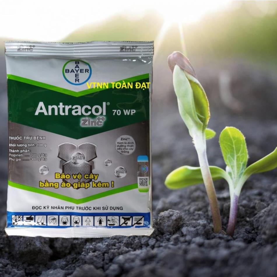 Thuốc Trừ Bệnh Cây Trồng ANTRACOL (Gói 100g)