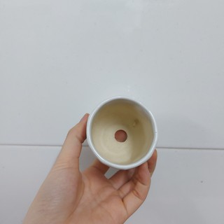 Chậu trồng cây: men lạnh 6