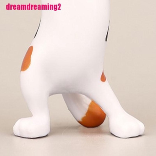 Mèo Nhảy Múa Vui Nhộn