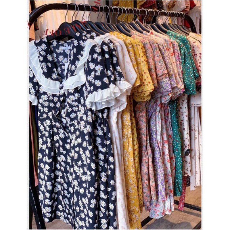 Đầm suông hoa cúc họa mi cổ viền bèo siêu xinh siêu hot