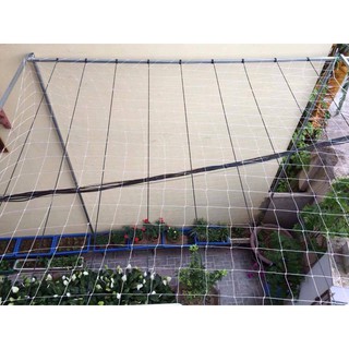 Mua Lưới leo giàn màu trắng siêu bền rẻ nhiều kích thước