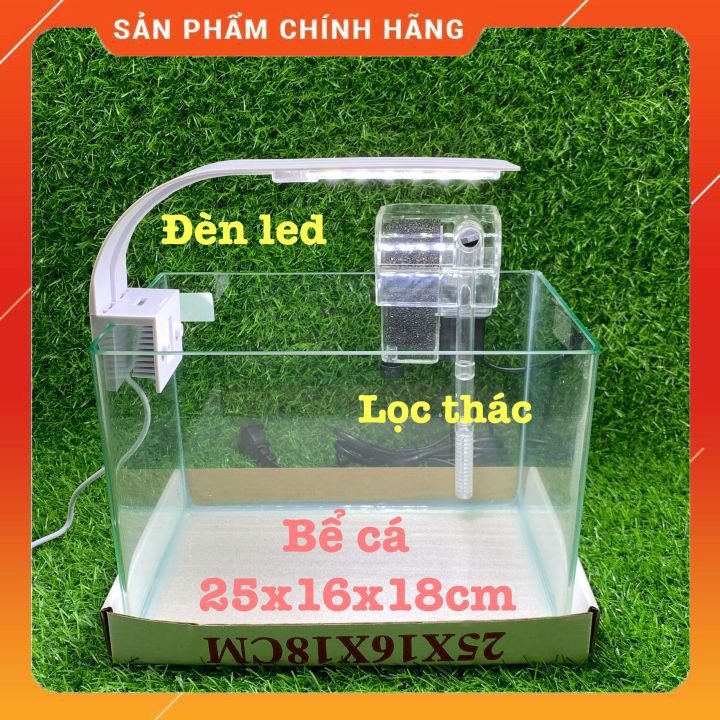 Bộ Bể Cá Kính Đúc Mini 25cm Kèm Đèn Lọc Để Bàn, Dài 25cm Rộng 16cm Cao 18cm - Bể Cá Mini