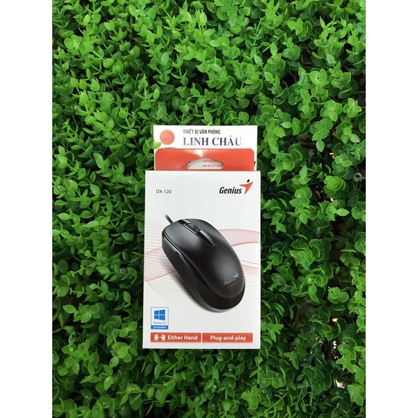 Chuột Genius DX-120 Chính hãng