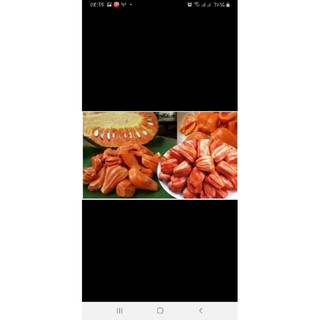 GIỐNG MÍT SƠ ĐỎ RUỘT ĐỎ MALAYSIA (CÂY CAO 1M-1.2M)