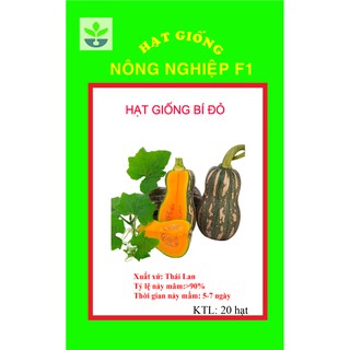 Gói 10 hạt giống bí siêu quả