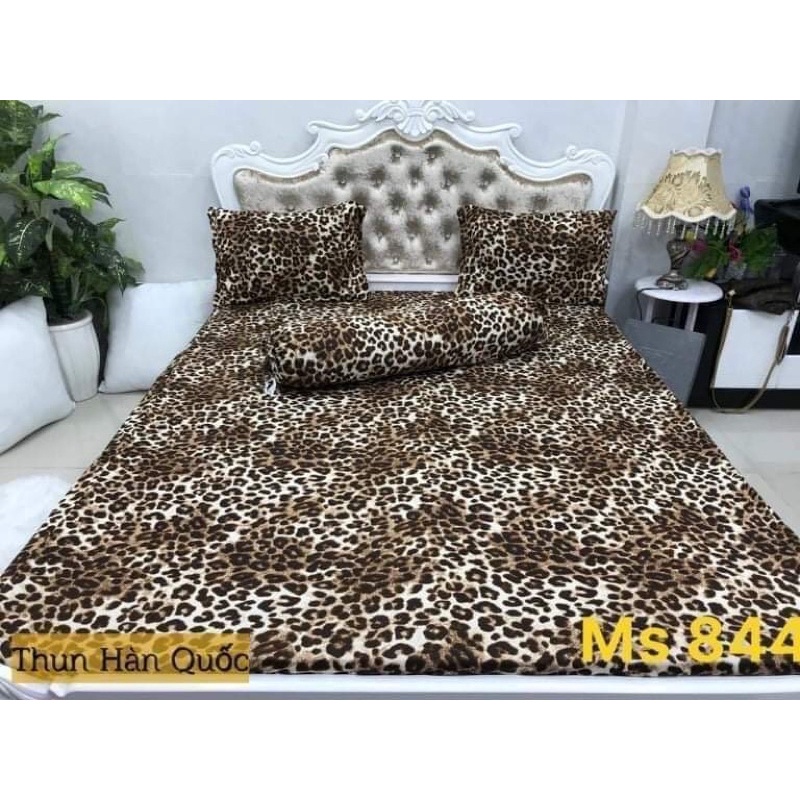 Bộ ga thun lạnh Hàn quốc 4 món
