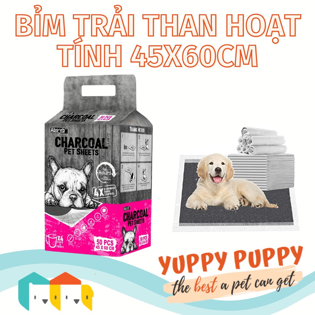 Bỉm trải vệ sinh Absorb Plus size 45x60cm cho chó &gt; 5kg