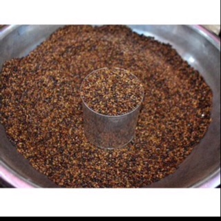10kg hạt muỗng đồ chơi