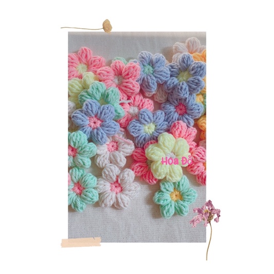 Hoa len cài túi, áo