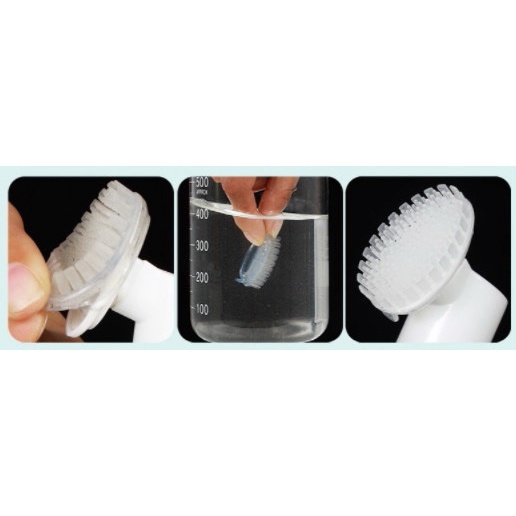 Vệ Sinh Bàn Chân Cho Chó Mèo