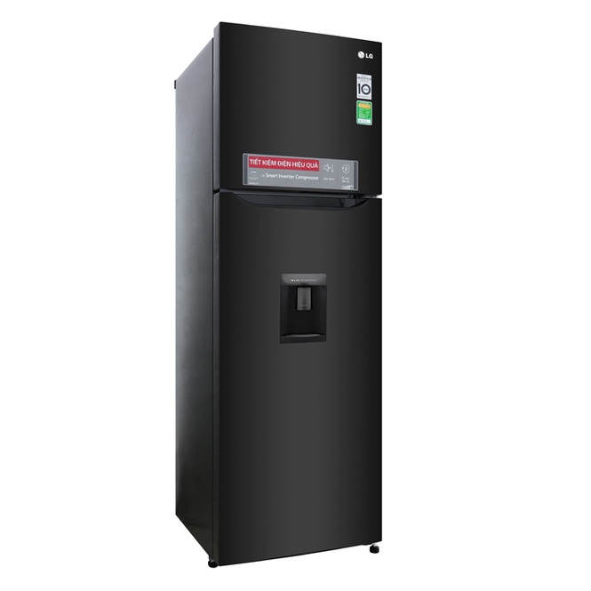 Tủ lạnh LG Inverter 255 lít GN-D255BL - Làm lạnh đa chiều, Khử mùi Nano Carbon, Lấy nước ngoài, Miễn phí giao hàng HCM
