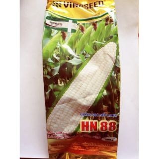Giống ngô nếp lai F1 HN88 gói 500g