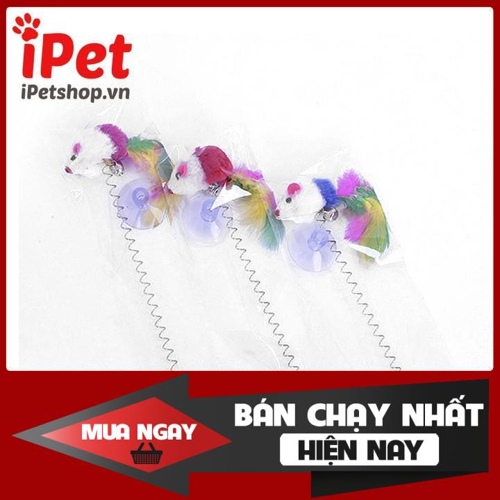 Chuột Đồ Chơi Lò Xo Có Mút Gắn Cho Chó Mèo - iPet Shop 0