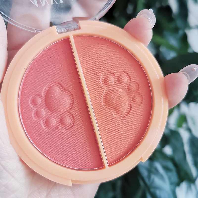 Phấn Má Hồng 2 Ngăn Anylady Bear Blush 706B Siêu Xinh