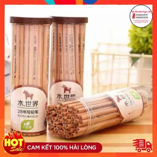 Hộp 50 chiếc bút chì gỗ Deli