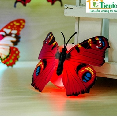 Đèn bươm dán tường phát sáng trang trí sinh nhật, lễ hội, Noel, trang trí Tết