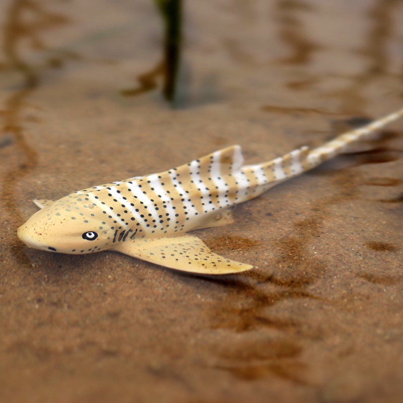 Mô Hình Động Vật Biển Đồ Chơi Cho Bé