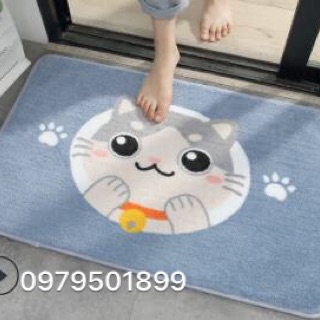 Thảm chùi chân cao cấp 45 x65cm