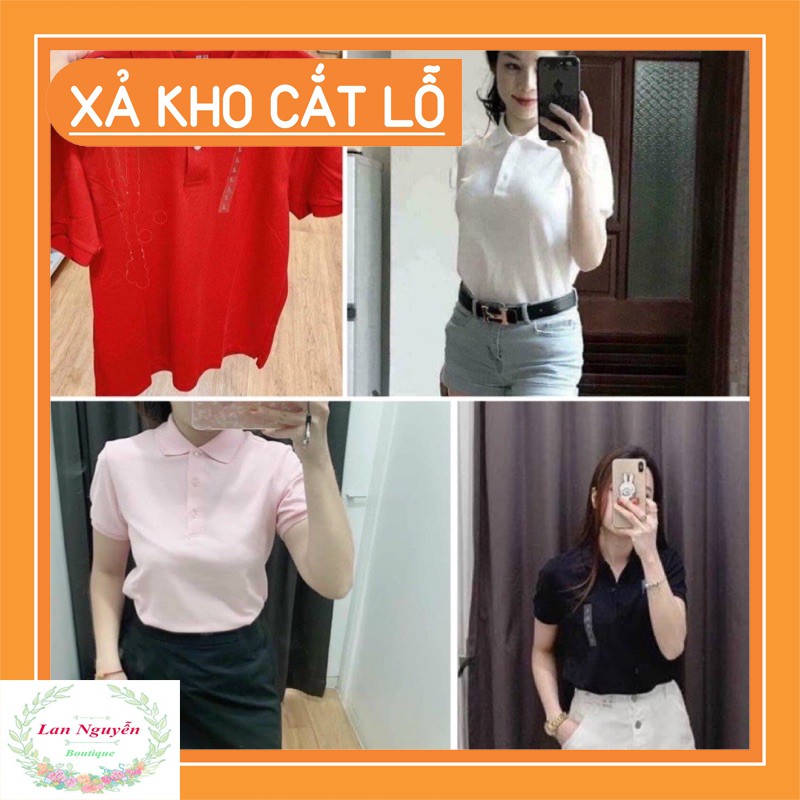 BÁN SỈ ÁO POLO U.NI TRƠN 5 MÀU CHO NỮ