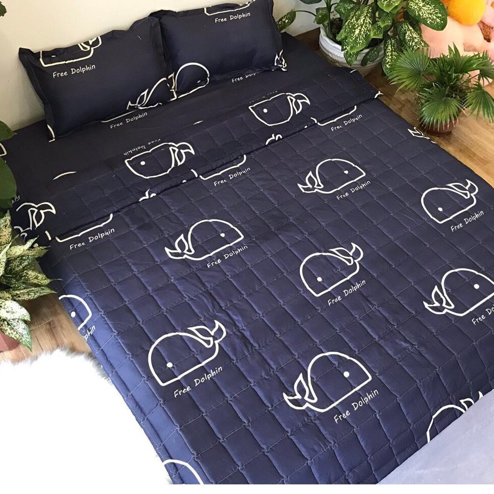 Bộ ga 2m2 kèm 2 vỏ gối poly cotton bọc đệm cho giường 2m 2m2 (ngang 2m2 dài 2m)