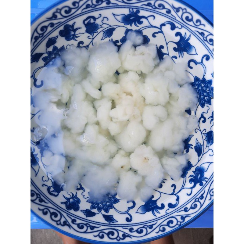 Tuyết Giáp Hong Kong - 100g