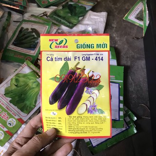 Hạt giống cà tím dài F1
