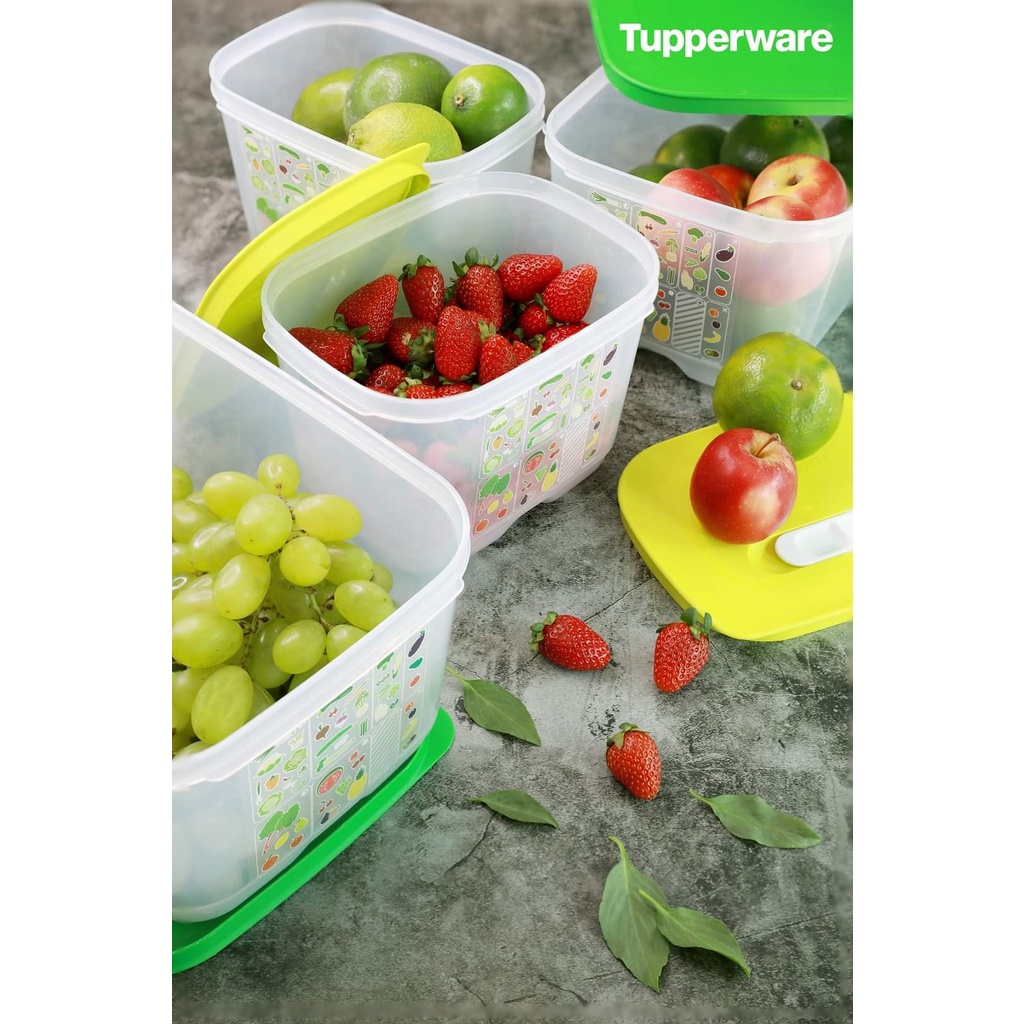 Hộp trữ mát có nút hô hấp Tupperware Ventsmart