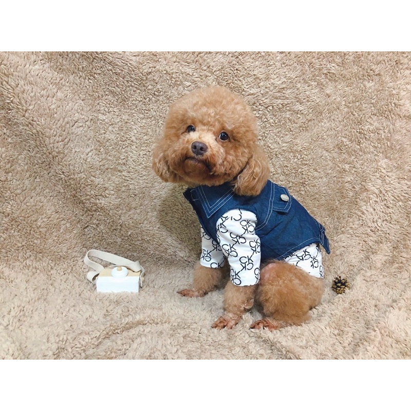 Áo thun CK cổ lọ cho thú cưng/Áo thu đông cho chó mèo