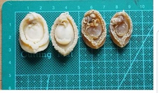 Bào Ngư khô (Size mini/Size trung)