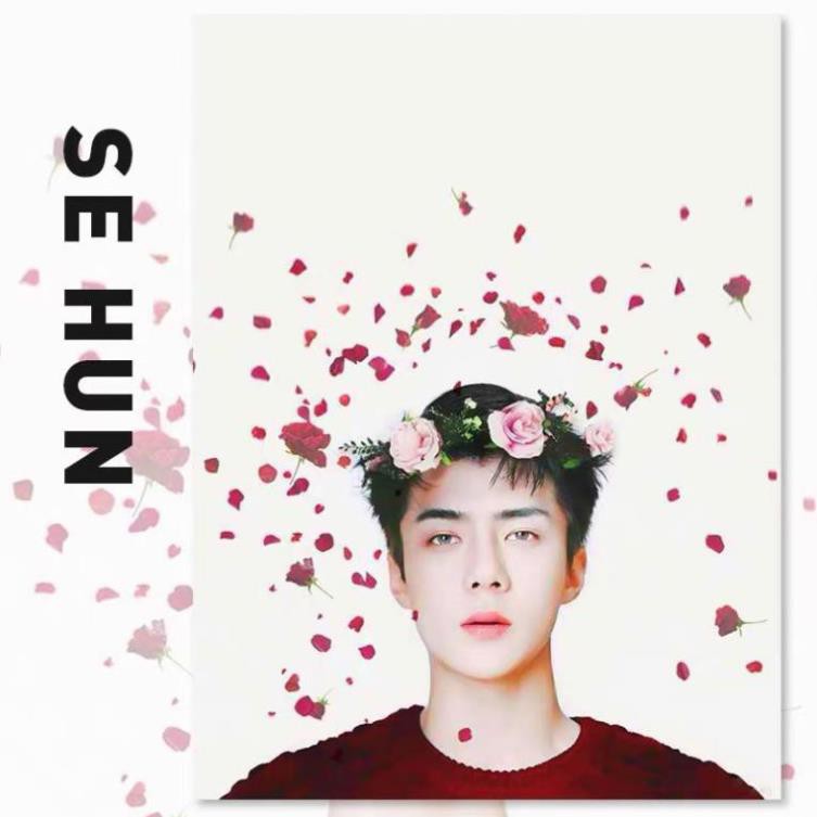 [Order]Tranh tô màu theo số sơn dầu số hóa Oh Sehun EXO