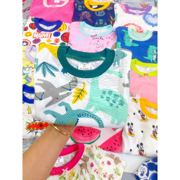 (Chọn màu link 1) Bộ hè bé trai cotton borip xuất dư 12_25kg