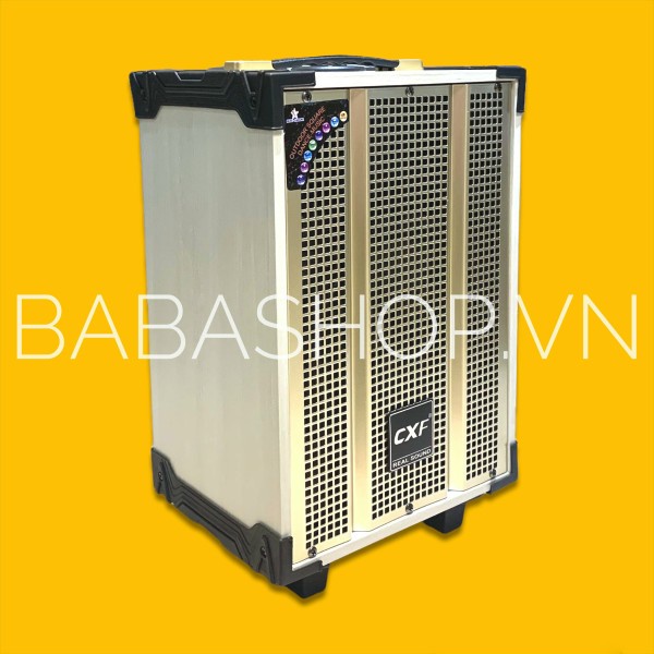 Loa Kéo Karaoke CXF GL-T8, Đi kèm 2 MICRO- Loa gỗ cao cấp - Công suất 150W- bảo hành 12 tháng