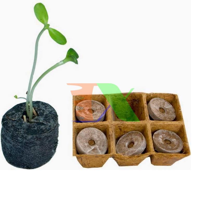 Hộp 200 Viên nén ươm hạt, viên nén xơ dừa