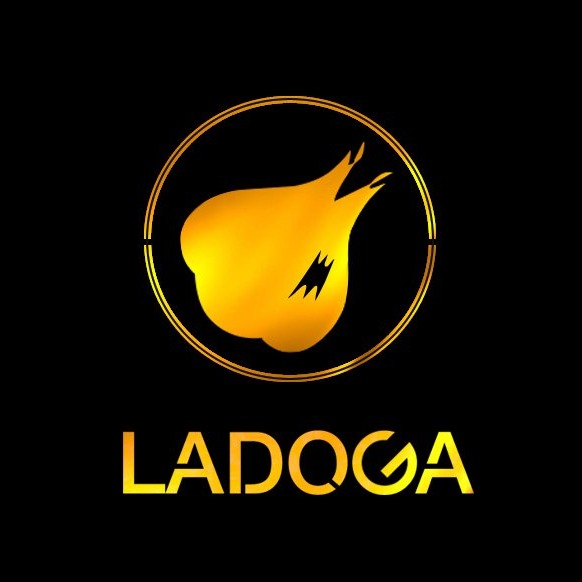 Ladoga official store 