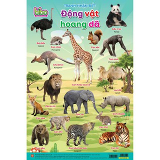 Bộ Tranh Nhận Biết 12 Chủ Đề BIBO