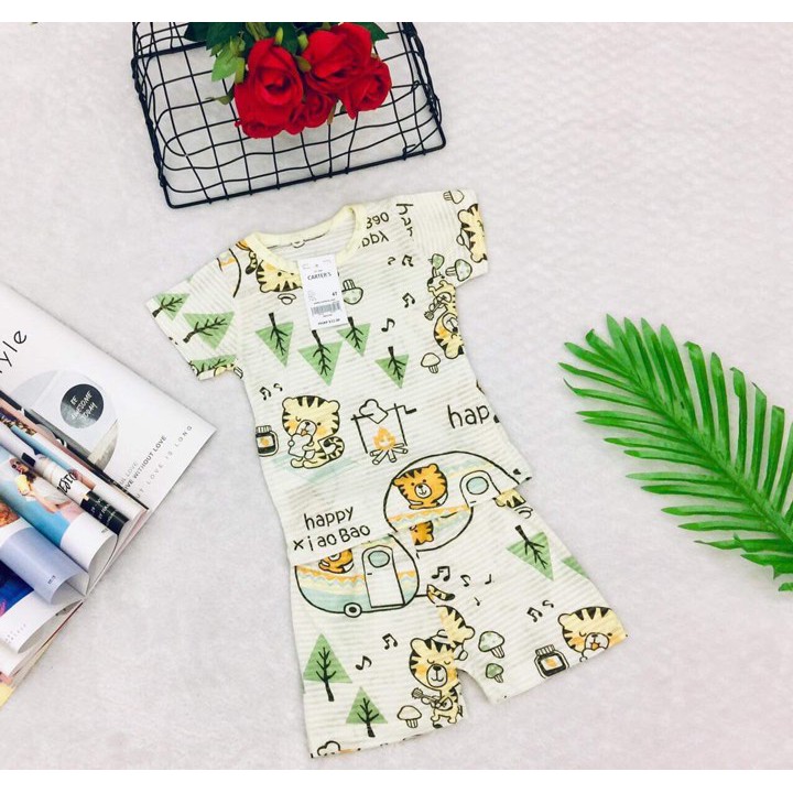 combo 10 bộ sợi tre