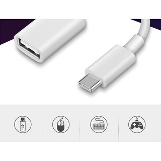 Cáp Chuyển Đổi OTG Type C Sang USB3.0