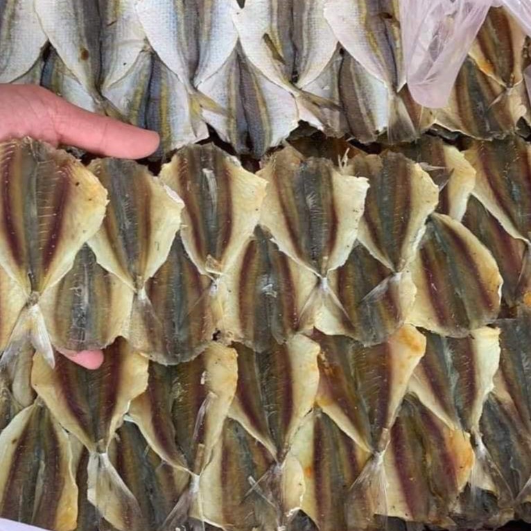 KHÔ CÁ CHỈ VÀNG LOẠI 1 ĐẶC SẢN CÀ MAU , CÁ CHỈ VÀNG DÀY THỊT ÍT XƯƠNG THƠM NGON ĐƯỢC PHƠI NẮNG TỰ NHIÊN KHÔNG PHẨM MÀU