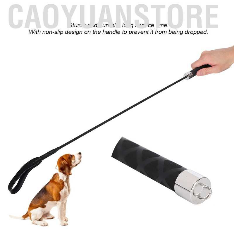 Dây Roi Tập Huấn Luyện Chó Chống Trượt