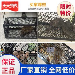 . Máy đánh bắt chuột nhà, Máy đánh bắt chuột, Máy đánh bắt chuột, máy đánh bắt chuột, nhà đa chức năng, dễ sử dụng, sáng