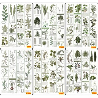 Sticker Washi A4 [ CÂY LÁ ] Dạng Lì Trang Trí Bullet Journal Siêu Đẹp (1710 01-06)