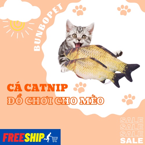 Cá Catnip Giúp Mèo Thư Giãn Làm Sạch Răng Cho Mèo