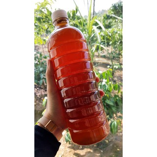 Mật ong hoa cafe Lâm Đồng, 100% nguyên chất 1 lít