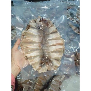 Cá đuối 1 nắng