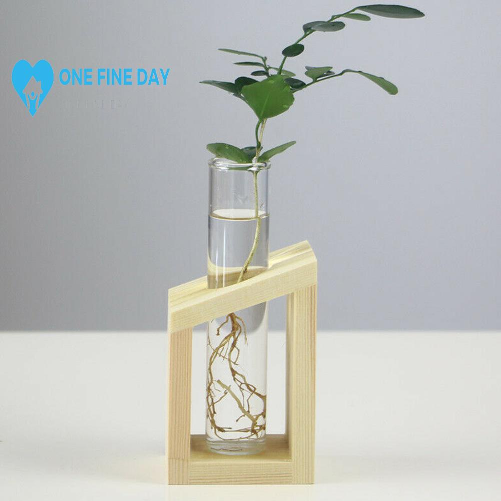 Lọ hoa thủy tinh kèm giá đỡ gỗ sáng tạo Y8L5