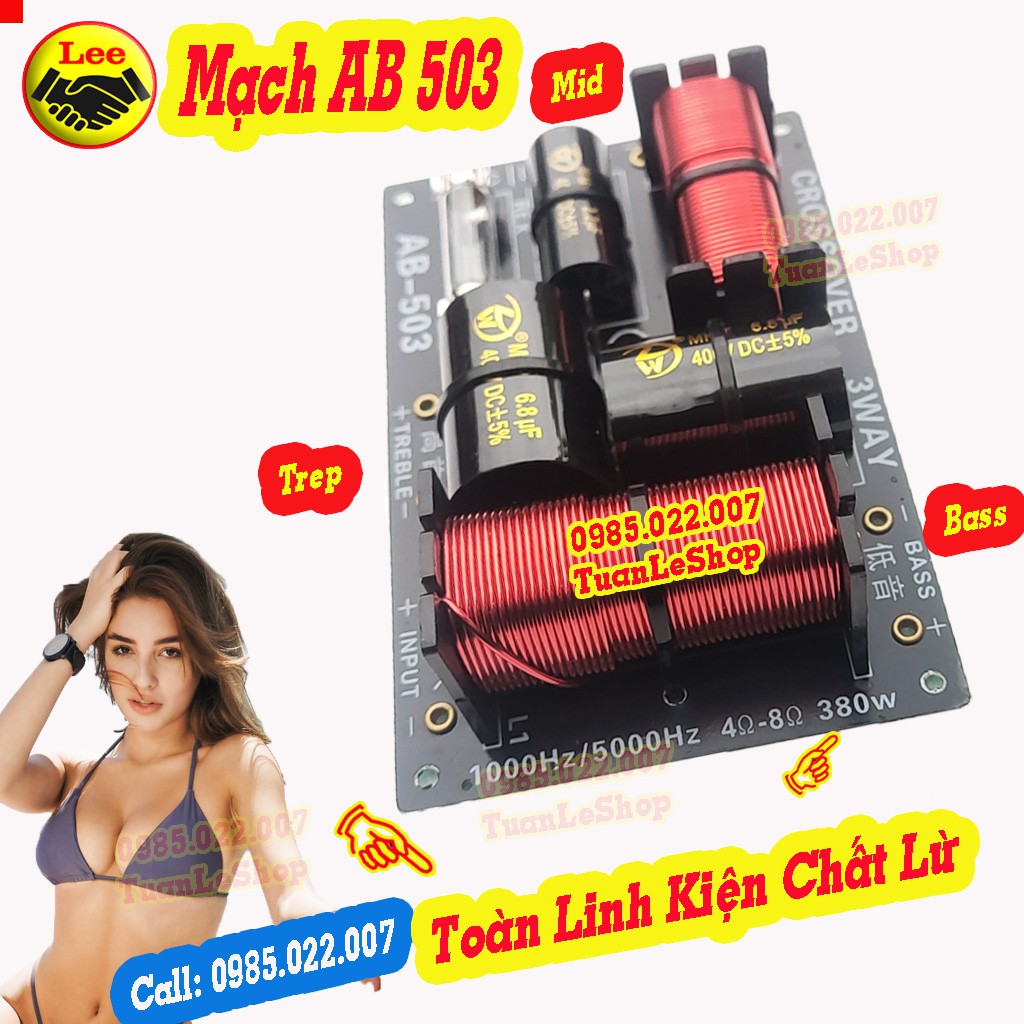 MẠCH 3 LOA  AB 503 – MẠCH 1 BASS 1 MID 1 TREP - GIÁ 1 MẠCH LOA AB503